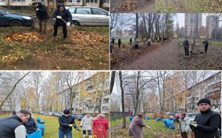 Единство в деле: Студенты и Преподаватели вышли на субботник