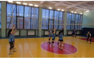 Товарищеская встреча по волейболу