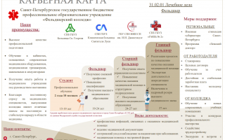 Карьерная карта Фельдшера